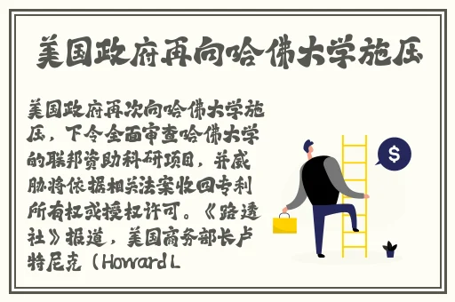 大战我的两个小䧅MBA内容简介