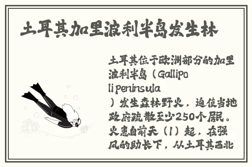 黑料门今日黑料2024
